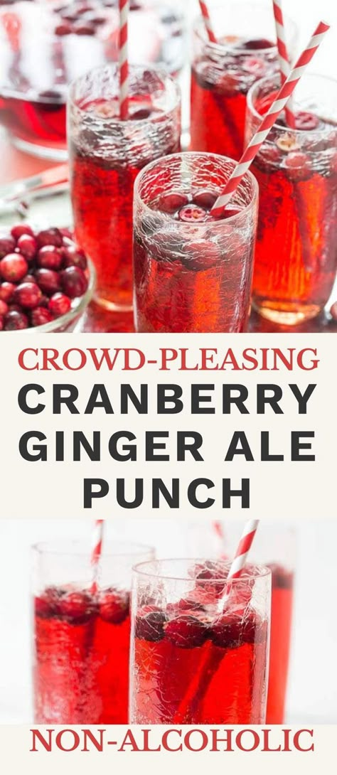 Cranberry Ginger Ale Punch Non Alcoholic, Drinks With Cranberry Ginger Ale, Ginger Ale And Cranberry Juice, Easy Christmas Punch Recipes Non Alcoholic, Punch With Cranberry Ginger Ale, Christmas Punch Recipes Non Alcoholic Ginger Ale, Cranberry Punch Recipes Ginger Ale, Ginger Ale Punch Recipes, Low Sugar Christmas Punch