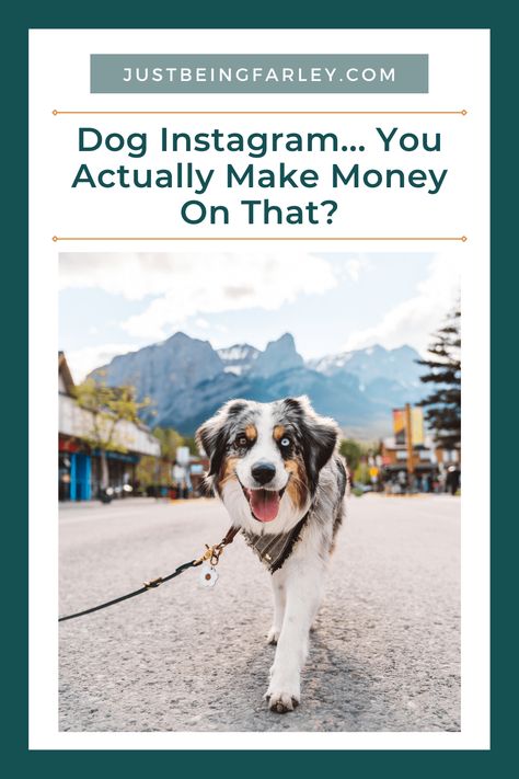 Dog Instagram... You Actually Make Money On That? - JustBeingFarley Make Money Instagram, Grow My Instagram, Pet Influencer, Instagram Money, Dog Instagram, Brand Deals, Instagram Dog, Instagram Famous, Mindset Tips