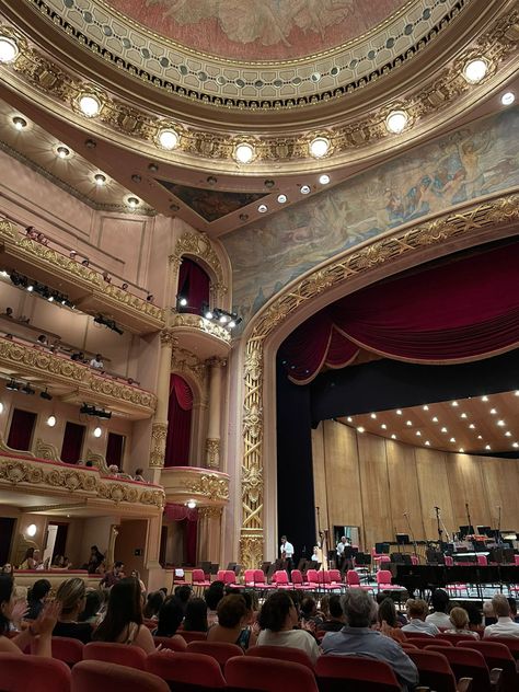 Violin Concert, Auditorium Architecture, Theatre Aesthetic, Dancer Lifestyle, Broadway Nyc, Carmen Miranda, Guys And Dolls, Theatre Life, Luxury Lifestyle Dreams