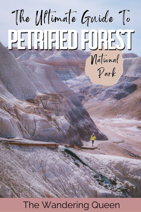 The Ultimate 1 Day Itinerary To Petrified Forest National Park - The Wandering Queen Petrified Forest National Park, Arizona Vacation, Arizona Road Trip, Petrified Forest, Hiking National Parks, National Parks Map, National Park Photos, Forest Road, National Parks Usa