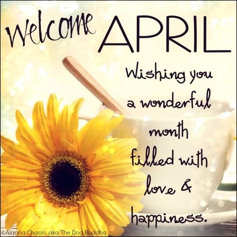 Welcome April! Wishing you a wonderful month filled with love & happiness… Happy April Quotes, April Month Quotes, Happy New Month Images, April Images, Happy New Month Quotes, Welcome April, New Month Wishes, April Month, April Quotes