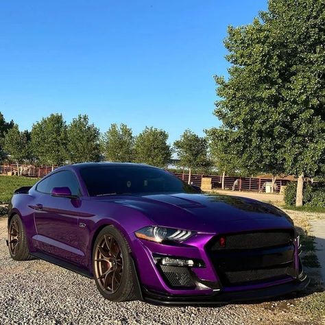 Modded Mustang, Mustang Wrap, Cars Purple Aesthetic, Aesthetic Cars Purple, Purple Car Wrap, Purple Ford Mustang, Mustang Purple, Dark Purple Car Wrap, Midnight Purple Car