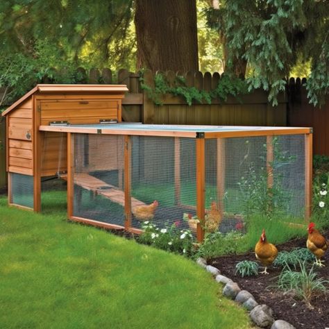 House With Plants, Natural Farmhouse, Chicken Coop Garden, Backyard Chicken Coop Plans, Backyard Chicken Farming, Happy Farm, Chicken Coop Designs, Chicken Garden, Yoga Burn