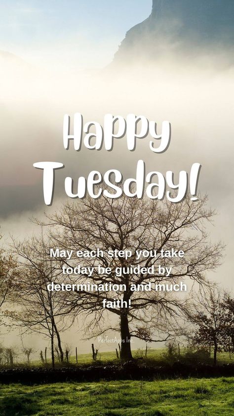 Tuesday Wallpaper, Hello Tuesday, Tuesday Quotes, Year 2024, Happy Tuesday, Quotes