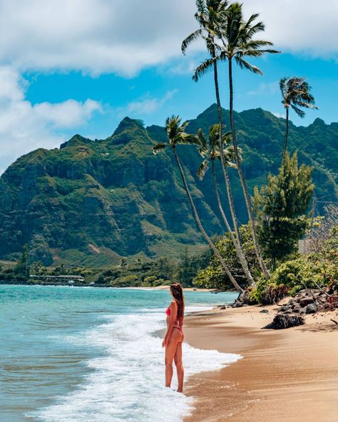 Are you planning a trip to Oahu, Hawaii ? In this post you’ll find the best beaches on Oahu, Hawaii - including amazing hidden gems and secret locations! And the best? I even added a map for you so you can easily find all the beach during your own Hawaii Trip! So what are you waiting for? Read or save this post with all the best & most beautiful beaches on Oahu, HAwaii now! // #hawaii #hawaiitravel #oahu #travelguide #traveltips // Kaaawa Beach on Oahu, Hawaii Kaaawa Beach Hawaii, Makua Beach Oahu, Best Beaches In Oahu, Oahu Hawaii Pictures, Waimea Bay Oahu, Hawaii Summer Aesthetic, Hawaii Vision Board, Hawaii Inspo Pics, Hawaii Aesthetic Pictures