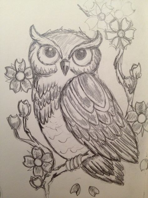 Owl Sketch Simple, Owl Drawing Sketches, Owl Drawing Simple, Cute Owl Drawing, Owl Drawings, Owl Sketch, Owl Drawing, Butterfly Sketch, Nature Art Drawings