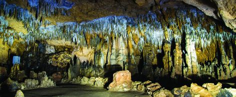 Florida Caverns State Park 3345 Caverns Rd.Marianna FL Florida Caverns, Florida Caverns State Park, Cypress Swamp, Homeschool Field Trips, Civilian Conservation Corps, Florida State Parks, Cave Tours, Travel Things, Native American Heritage