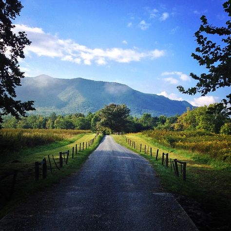 Cade's Cove in the morning can't be beat. Get there early (road opens at 7:00am) to catch sunrise and a chance to see some wildlife. #GSMhalf Tennessee Attractions, Tennessee Mountains, Outdoor Dates, Smokey Mountains Vacation, Mountain Summer, Mountain Pictures, Cades Cove, Mountain Vacations, Peace And Quiet