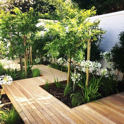 Decking ideas: 27 ways to transform your garden | Real Homes Decking Ideas, Narrow Garden, Wooden Deck, Back Garden Design, Desain Lanskap, Garden Area, Contemporary Garden, Outdoor Gardens Design, Backyard Garden Design