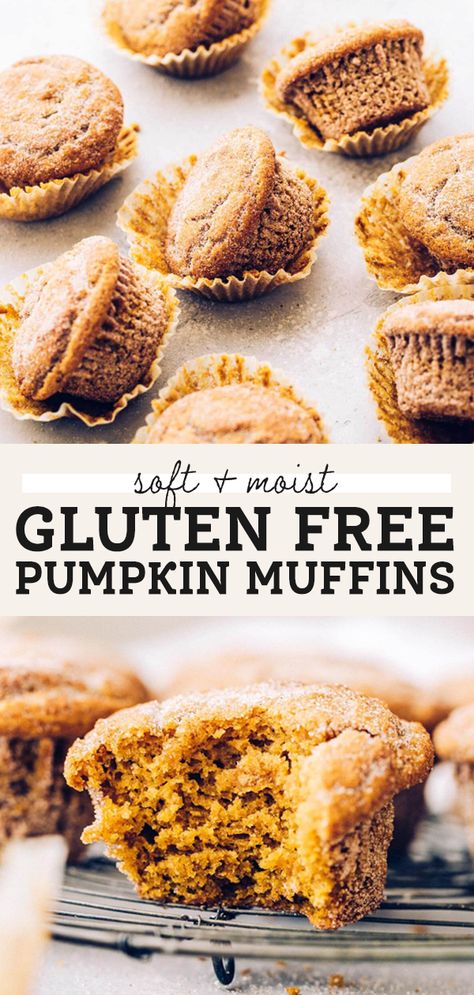 Dairy Free Pumpkin Muffins, Gluten Free Pumpkin Muffins, Dairy Free Pumpkin, Pumpkin Muffin Recipes, Pumpkin Chocolate Chip Muffins, Gluten Free Chocolate Chip, Gluten Free Muffins, Pumpkin Chocolate Chips, Gluten Free Pumpkin