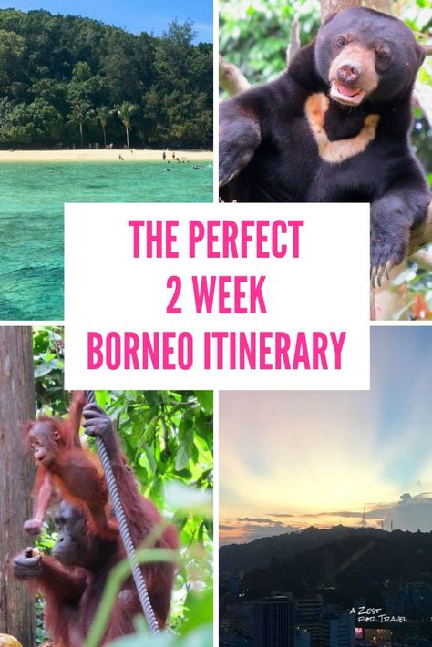 Borneo Travel, Travel Malaysia, Epic 2, Malaysia Travel, Nature And Wildlife, Travel Destinations Asia, Perfect Itinerary, Travel Checklist, I Want To Travel