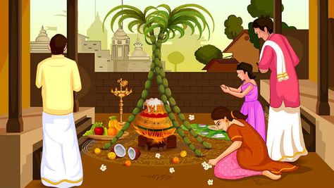 Pongal Festival Images, Pongal Wishes In Tamil, Pongal Images, Thai Pongal, Tamil Greetings, Happy Pongal Wishes, Pongal Wishes, Pongal Festival, Pongal Celebration