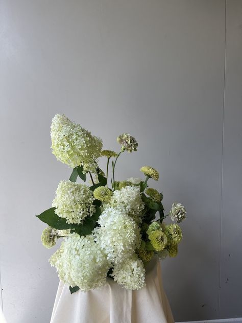 floral sculpture, still life. Auckland floral designer New Zealand, white and red floral arrangement, modern, wedding florist Auckland, Modern Wedding florals, White snowball hydrangea, green zinnia and carnation floral centrepiece arrangement Panicle Hydrangea Arrangement, Modern Hydrangea Arrangements, Cottage Core Wedding Flowers, Green Hydrangea Arrangements, Limelight Hydrangea Arrangement, Small Hydrangea Centerpiece, Hydrangea Sculpture, Hydrangea Wedding Florals, Fall Hydrangea Arrangements