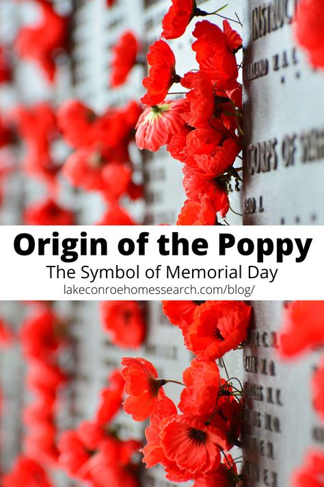 Have you ever wondered why we wear poppies on Memorial Day? Well today we are going to learn about the origin of the poppy as a symbol of remembrance. #mikegoinsrealestate #lakehomesrealty #memorialday Poppy Memorial Day, Memorial Day Poppy, Memorial Day Prayer, Poppies Poem, Poppy Symbolism, Memorial Day Remembrance, Memorial Day Poppies, Poppy Craft For Kids, Poppy Craft