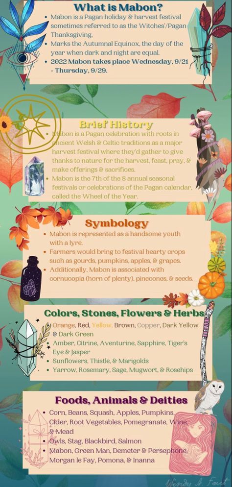 Mabon is tomorrow! Learn abour Mabon and Mabon Celebration Mabon Altar Crystals, Mabon Cornucopia, Mabon 2024 Date, What Is Mabon, Mabon Altar Decorations, Mabon Spells And Rituals, Mabon Illustration, Ways To Celebrate Mabon, September Correspondences