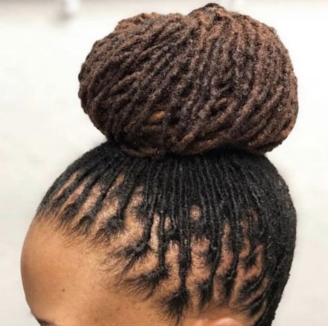 Sista Locks, Styling Locs, Locs Updo, Women Locs, Loc Bun, Loc Goddess, Dreads Hairstyles, Loc Inspiration, Loc Hairstyles