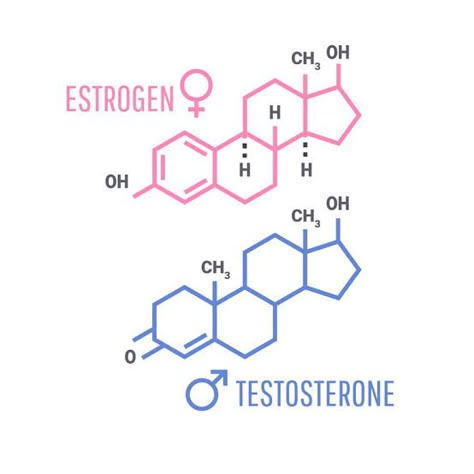 Transgender Tattoo Ideas, Transgender Tattoo, Molecule Art, Chemical Bonds, Gender Signs, Testosterone Hormone, Molecule Tattoo, Estrogen Hormone, Trans Things