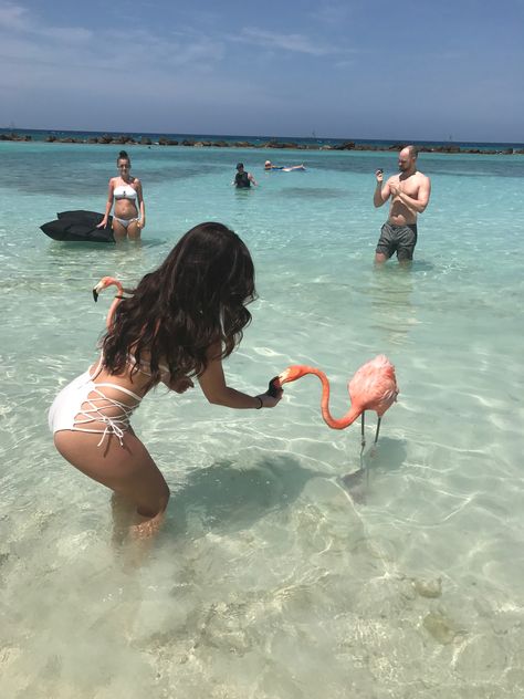 A Girl, Flamingo, Water, Pink