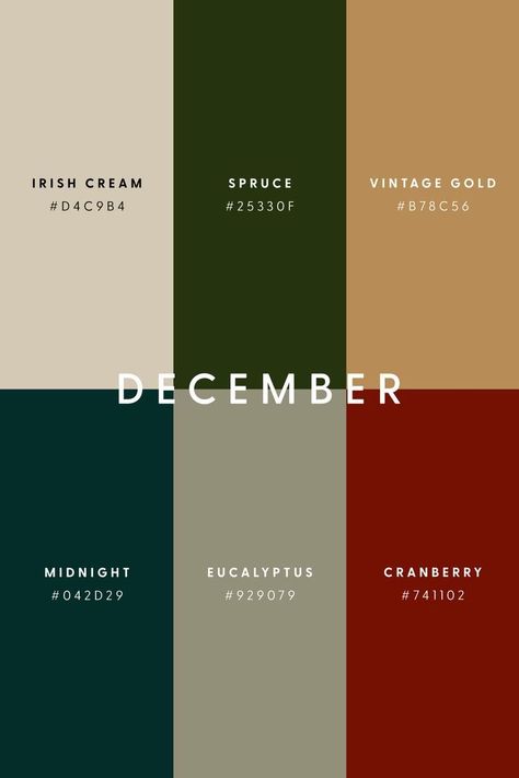 Rgb Palette, Christmas Color Palette, Desain Ui, Color Design Inspiration, Hex Color Palette, Palette Design, Color Schemes Colour Palettes, Inspire Me Home Decor, Brand Color Palette