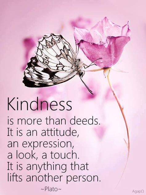 Kindness is more than deeds... <3 Inspirerende Ord, Butterfly Quotes, Kindness Quotes, Positive Words, English Quotes, Random Acts Of Kindness, A Butterfly, A Quote, Positive Thoughts