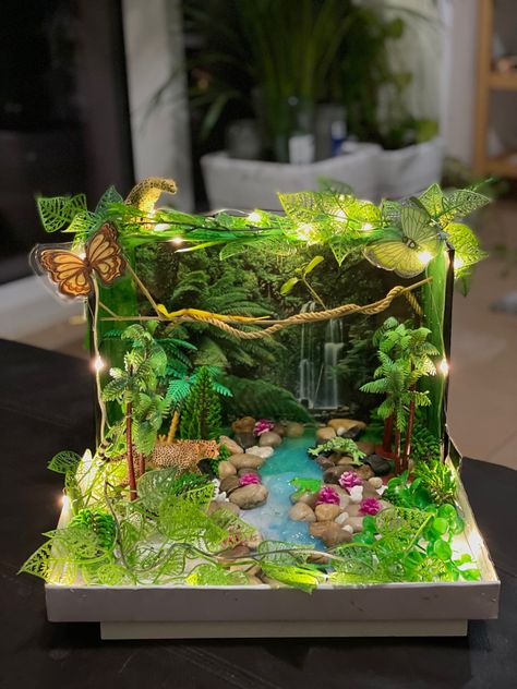 Diy Rainforest Projects, Rainforest Habitat Shoebox Project, Rainforest Diaroma Ideas, Animal Diarama Ideas, Jungle Diaroma, Biome Boxes School Projects, Jungle Habitat Project, Flamingo Habitat Diorama, 3d Forest Project