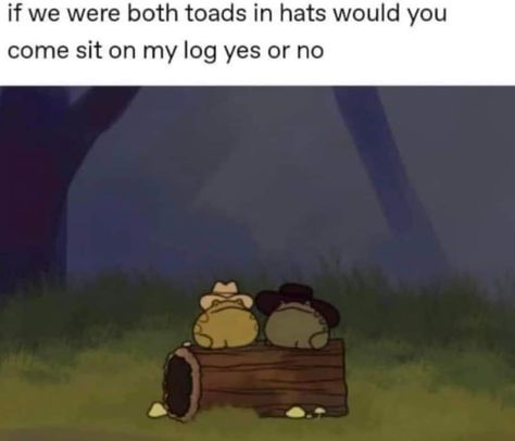 Funny Frogs, What’s Going On, Toad, I Smile, In The Woods, Frogs, Funny Cute, Dankest Memes, Dumb And Dumber