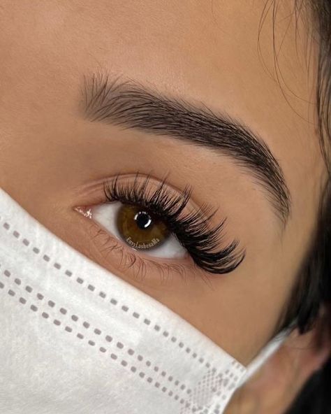 Doll Eye Hybrid Lashes, Simple Hybrid Lashes, Wing Lash Extensions, 17mm Lash Extensions, Whisky Hybrid Lashes, Lash Extension Hybrid, Hybrid Cateye Eyelashes Extensions, Hybrid Open Eye Lash Extensions, Lash Extensions Styles Hybrid