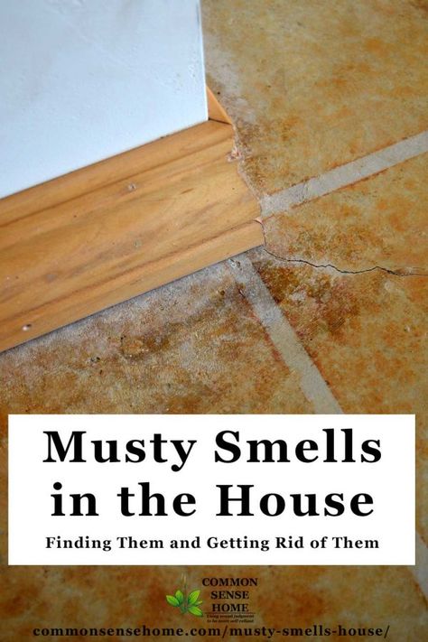 Musty Smell In House, Old House Smells, Basement Odor, Mold Smell, House Smell Good, Feminine Health, Mildew Smell, Room Smells, Basement Flooring