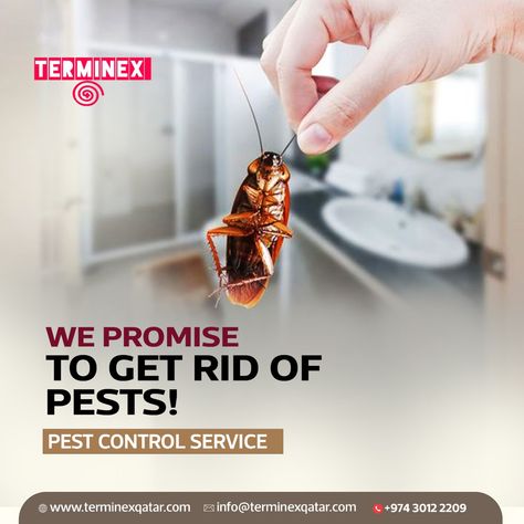 🚫 Tired of unwanted pests invading your home? Say goodbye to cockroaches and other pests with Terminex Pest Control Services! Our expert team is dedicated to providing effective pest control solutions that ensure your home remains pest-free and comfortable.  Contact us now to schedule your pest control service: 📞 +974-30122209 📧 info@terminexqatar.com 📍 PO.BOX NO 90361, Doha, Qatar 🌐 www.terminexqatar.com Pest Control Logo, Rodent Control, Pest Control Services, Doha Qatar, Doha, Pest Control, Mice, Qatar, Toronto