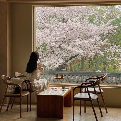 Japan Cherry Blossom, 사진 촬영 포즈, Japan Aesthetic, Style Deco, Korean Aesthetic, Emoji Wallpaper, Japanese Aesthetic, Blossom Trees, Aesthetic Images