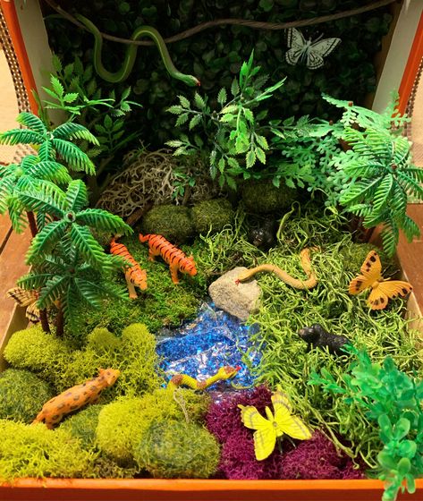 School Diarama Ideas, Jungle Habitat Project, Jaguar Diorama, Animal Habitat Diorama, Diorama Habitat, Jungle Diorama, Animal Diorama, Rainforest Amazon, Jungle Animals Preschool