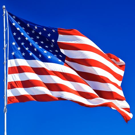 American Flag Meaning, Us Citizenship Test, Veterans Day Images, Us Flags, United States Flag, America Flag, Colour Star, State Flags, Us Flag