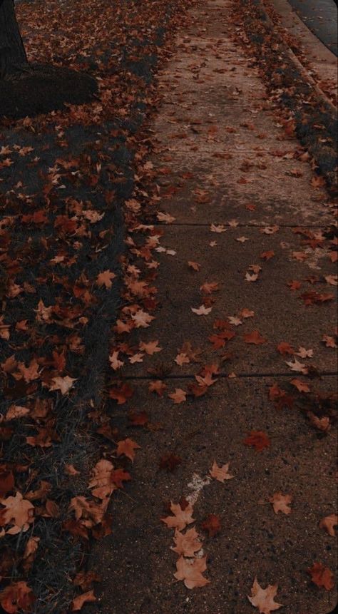 Fall Asthmatic Wallpaper, Fall Halloween Aesthetic Wallpaper, Gloomy Fall Aesthetic, Dark Autumn Aesthetic Wallpaper, Moody Fall Aesthetic, Dark Fall Wallpaper, Fall Asthetic Photos, Autumn Photos, Autumn Blessings