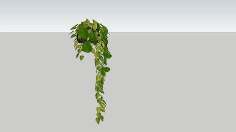 Hanging Plant GHD | 3D Warehouse Hanging Potted Plants, Pocket Garden, Mosque Design, 3d Tree, Sketchup Model, Architecture Design Concept, Hanging Plant, Restaurant Interior Design, 3d Warehouse