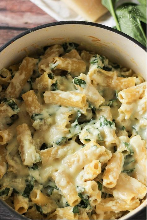 Ricotta Cheese Recipes Pasta, Recipe Using Ricotta, Spinach Ricotta Pasta, Ricotta Cheese Recipes, Cheese Pasta Recipes, Ricotta Recipes, Spinach Ricotta, Ricotta Pasta, Recipes Pasta