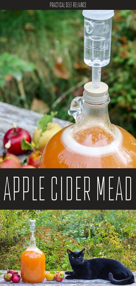 Explore the fusion of apple cider and honey with our apple cider mead guide. As a part of our homemade drinks series, this recipe ensures that you relish every sip of this delightful beverage. Learn how to make it perfect with fresh apple cider. Find more Alcoholic Drinks Recipes, Healthy Fall Recipes, and Historical Food Preservation at practicalselfreliance.com. Easy Apple Cider Recipe, Hard Apple Cider Recipe, Apple Cider Recipes, Hard Cider Recipe, Making Hard Cider, Cider Recipes, Making Apple Cider, Historical Food, Fermented Drinks