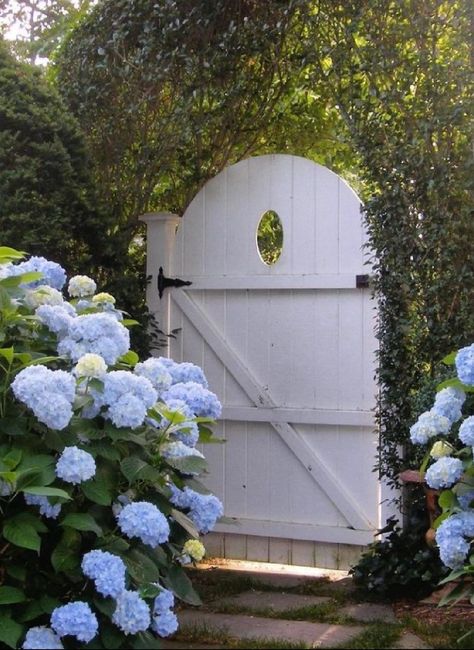 Hamptons Style Garden, Decorating With Blue, Grandeur Of The Seas, Hampton Garden, Coastal Exterior, Modern Gate, Blue Ceilings, Provence Lavender, Coastal Interiors Design