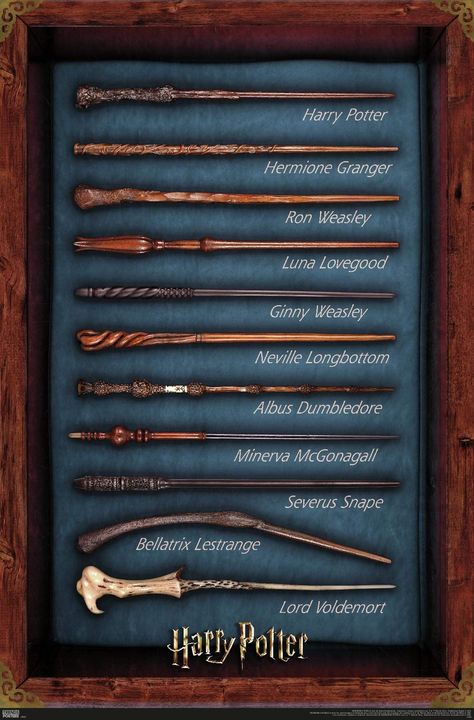 Trends International The Wizarding World: Harry Potter - Wands Wall Poster, Premium Unframed Version, 22.375" x 34" : Amazon.ca: Home Harry Potter Themed Bedroom, Harry Porter, Harry Potter Room Decor, Harry Potter Bedroom, Harry Potter Poster, Harry Potter Hermione Granger, Harry Potter Birthday Party, Harry Potter Decor, Halloween Tattoo