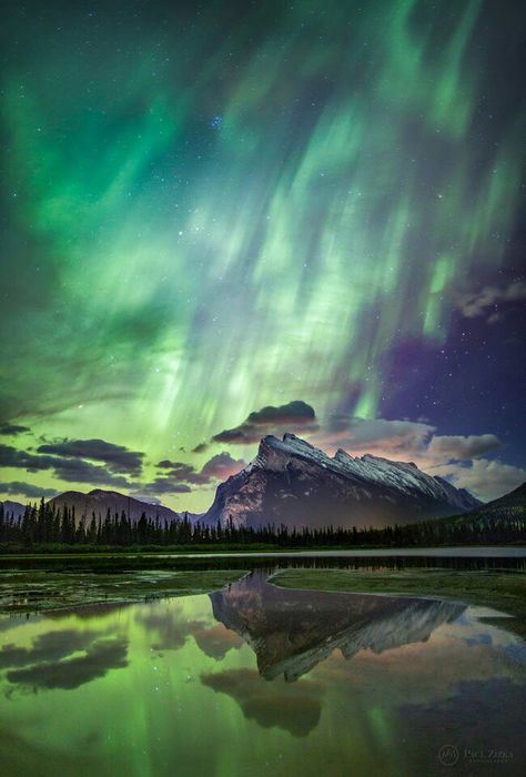 aurora, northern lights at the Banff National Park in Alberta, Canada.... Northern Lights Canada, John Price, Canada Banff, Aurora Borealis Northern Lights, The Aurora, Rocky Mountain National, Banff National Park, Beautiful Sky, Bank Holiday