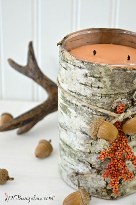 DIY Birch Bark Candle Holder Birch Bark Candles, Birch Bark Crafts, Farmhouse Diy Projects, Candle Tutorial, Diy Simple, Diy Candle Holders, Tutorial Diy, Birch Bark, Diy Farmhouse Decor