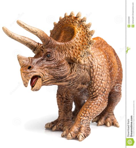 Triceratops stock image. Image of fossil, ferocious, extinct - 40335089 Dinosaur Jewelry, Dinosaur Photo, Dinosaur Tattoos, Hulk Art, Indominus Rex, Dinosaur Posters, Dinosaur Wallpaper, Dinosaur Images, Dinosaur Illustration