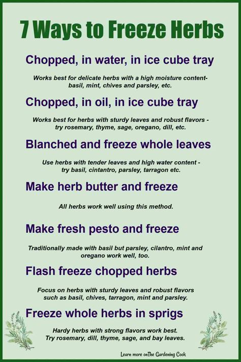 Freezing fresh herbs will allow you to use them all winter long This printable lists 7 ways to freeze them. Get the printable on /The Gardening Cook and print it out and keep it in your garden journal. How To Freeze Herbs, Freeze Fresh Herbs, Growing Herbs Outdoors, Food Saver Hacks, Freeze Herbs, Freezing Fresh Herbs, Preserve Fresh Herbs, Fresh Herb Recipes, Freezing Fruit