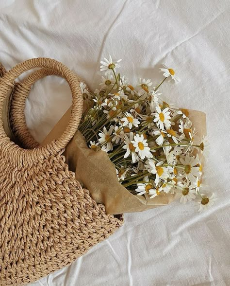 Beige Flower Aesthetic, Kathleen Kelly Aesthetic, Daisy Flower Aesthetic Vintage, Daisy Flower Aesthetic, Kathleen Kelly, Happy Diwali Images, Diwali Images, Pretty Phone Wallpaper, Cream Aesthetic