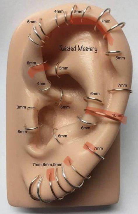 Piercings Bonitos, Truck Garden, Ear Piercings Chart, Piercing Chart, Cool Ear Piercings, Pretty Ear Piercings, Ring Piercing, Cool Piercings, Alpine Plants