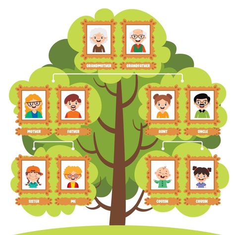 Family Tree Drawing, Family Tree Clipart, Family Tree For Kids, Family Tree Worksheet, Teach Family, Flat Drawings, Photo Clipart, Tree Clipart, Tree Drawing