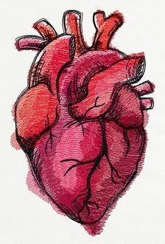 Organizator Grafic, Meaningful Drawings, Heart Illustration, Heart Drawing, Easy Doodle Art, Human Heart, Dessin Adorable, Art Inspiration Painting, Hand Art Drawing