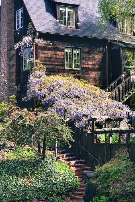 house in the berkeley hills House In The Hills, Scandinavian Eclectic, Berkeley Hills, Berkeley Homes, Bleak House, San Francisco Houses, Berkeley California, Cottage Cabin, She Is Fierce