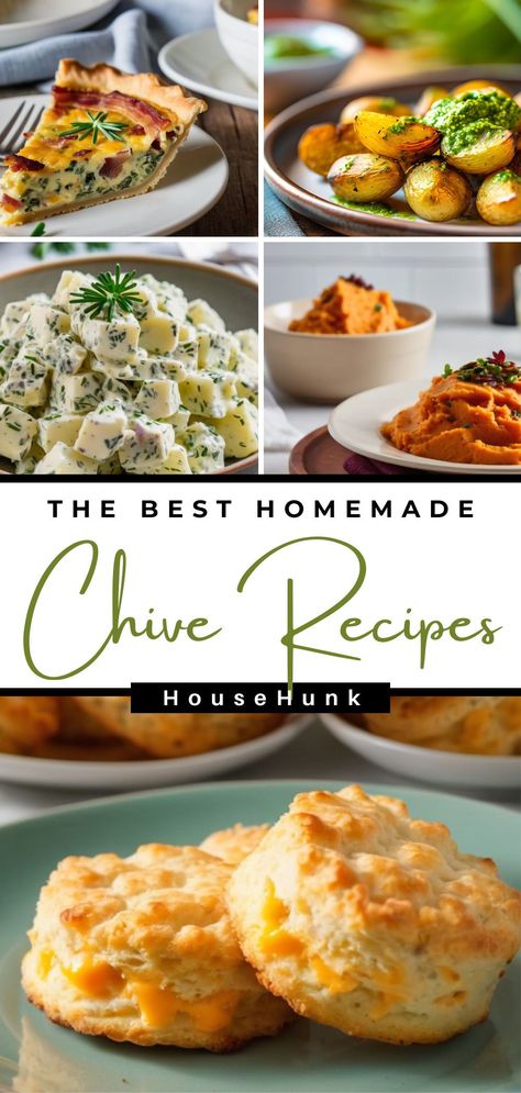 Explore the world of chives with our collection of 29 mouthwatering recipes. From spiced tofu stir-fry to chive and parsley pesto, each dish showcases the versatility and flavor of this humble herb. Whether you're a seasoned chef or a home cook, these recipes will inspire you to make chives a star ingredient in your kitchen. Grow your own and get ready to create delicious, vibrant meals! What To Do With Fresh Chives, Recipes Using Fresh Chives, What To Do With Chives, Recipes Using Chives, Chive Recipes Simple, Garlic Chives Recipes, Recipes With Chives, Chive Recipe, Hydroponic Kitchen