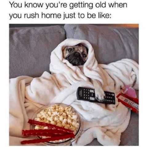 50 Funny Memes And Posts For The Animal Lovers - Memebase - Funny Memes Doug The Pug, Cele Mai Drăguțe Animale, Baby Pugs, Psy I Szczenięta, Funny Dog Memes, A Pug, Pug Puppies, Pugs Funny, Cute Pugs