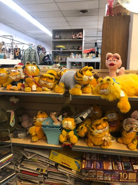 Cool Things To Collect, Garfield Collection, Fat Orange Cat, Garfield Pictures, Garfield Images, I Hate Mondays, Garfield Cat, Silly Cats Pictures, Fat Cats